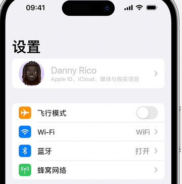 锦山镇appleID维修服务iPhone设置中Apple ID显示为灰色无法使用 