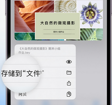 锦山镇apple维修中心分享iPhone文件应用中存储和找到下载文件