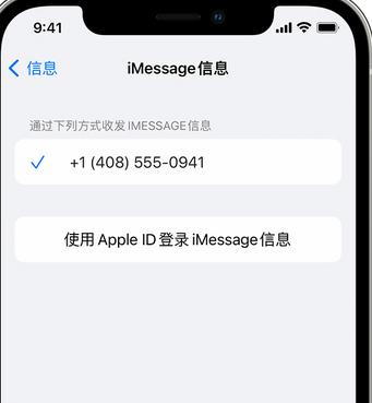 锦山镇apple维修iPhone上无法正常发送iMessage信息 