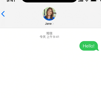 锦山镇apple维修iPhone上无法正常发送iMessage信息