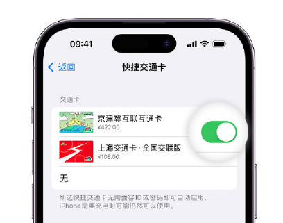 锦山镇apple维修点分享iPhone上更换Apple Pay快捷交通卡手绘卡面 