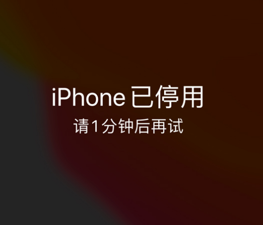 锦山镇苹果手机维修分享:iPhone 显示“不可用”或“已停用”怎么办？还能保留数据吗？ 