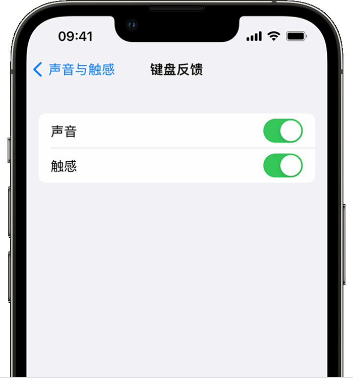 锦山镇苹果14维修店分享如何在 iPhone 14 机型中使用触感键盘 