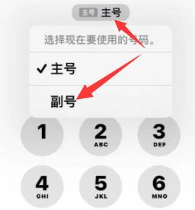 锦山镇苹果14维修店分享iPhone 14 Pro Max使用副卡打电话的方法 