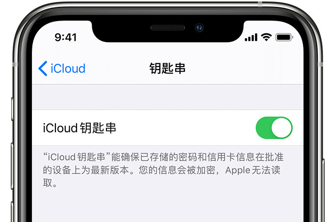 锦山镇苹果手机维修分享在 iPhone 上开启 iCloud 钥匙串之后会储存哪些信息 