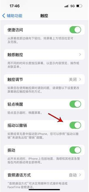 锦山镇苹果手机维修分享iPhone手机如何设置摇一摇删除文字 