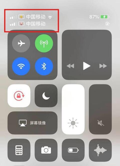 锦山镇苹果手机维修分享为 iPhone 12 双卡设置标签 