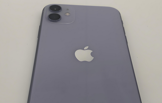 锦山镇苹果11系统维修分享iPhone11手机系统崩溃无法开机如何解决 